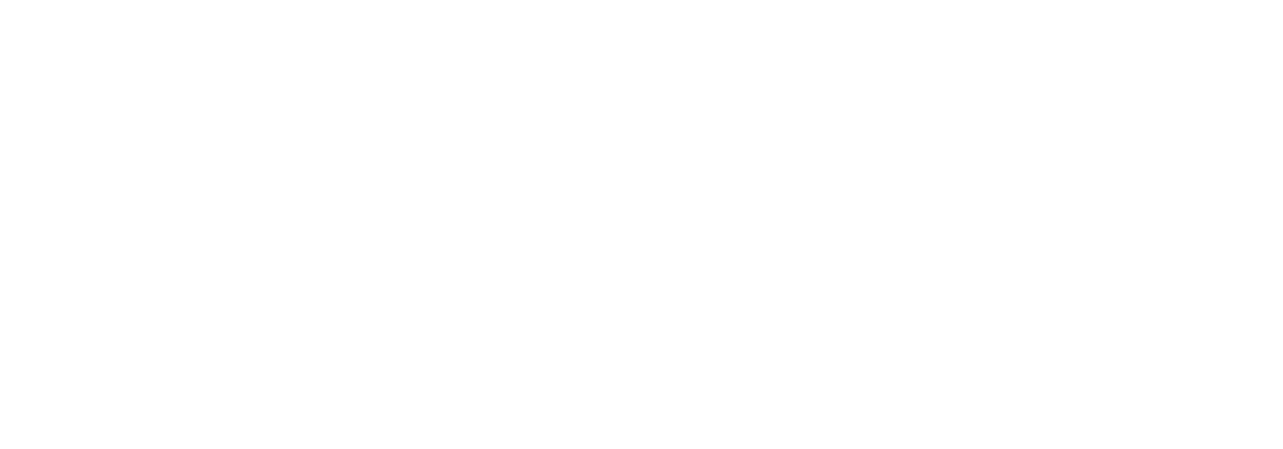 Koi Concepts